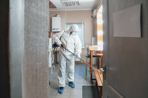 Best Basement Mold Removal  in Gastonville, PA