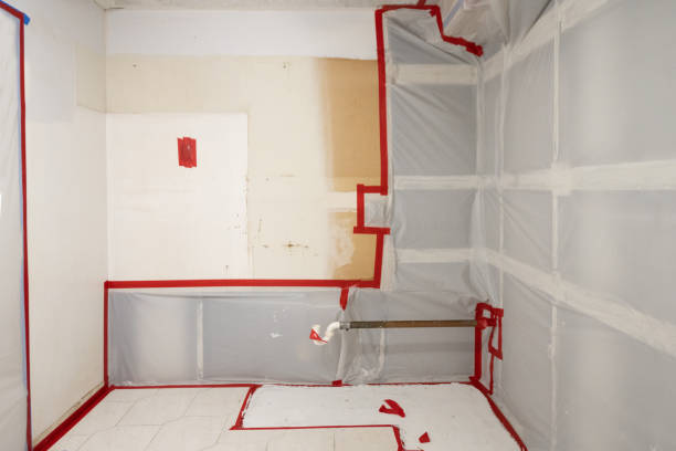 Best Post-Remediation Verification Testing  in Gastonville, PA