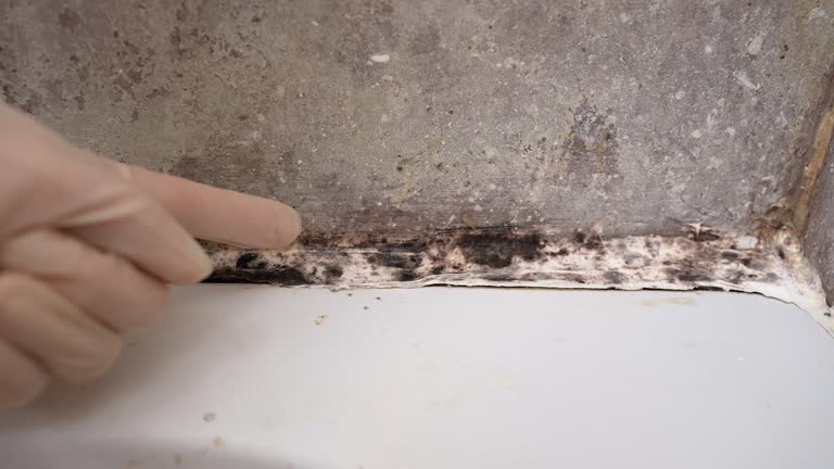 Best Mold Prevention Services  in Gastonville, PA